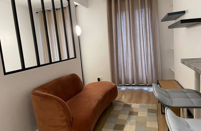 Rent of a cozy and modern studio, 27 m², 15th arrondissement, Paris, France